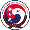 VELO Ryu Ha website